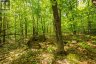 1020 RIDGE ROAD, Muskoka Lakes (wood (muskoka Lakes)), Ontario, P0C1M0 (ID X13761338)