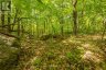 1020 RIDGE ROAD, Muskoka Lakes (wood (muskoka Lakes)), Ontario, P0C1M0 (ID X13761338)