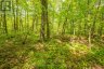 1020 RIDGE ROAD, Muskoka Lakes (wood (muskoka Lakes)), Ontario, P0C1M0 (ID X13761338)