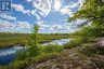 1020 RIDGE ROAD, Muskoka Lakes (wood (muskoka Lakes)), Ontario, P0C1M0 (ID X13761338)