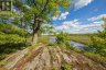 1020 RIDGE ROAD, Muskoka Lakes (wood (muskoka Lakes)), Ontario, P0C1M0 (ID X13761338)
