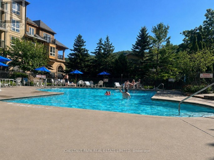 219 - 170 JOZO WEIDER BOULEVARD, Blue Mountains, Ontario, L9Y0V2