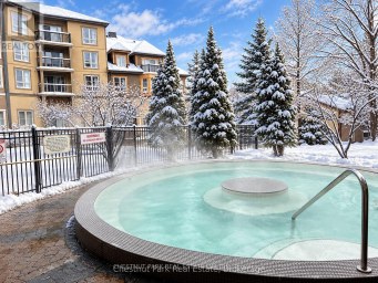 219 - 170 JOZO WEIDER BOULEVARD Blue Mountains Ontario photo 11