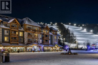 219 - 170 JOZO WEIDER BOULEVARD Blue Mountains Ontario photo 13