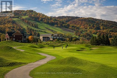 219 - 170 JOZO WEIDER BOULEVARD Blue Mountains Ontario photo 15
