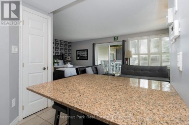 406 - 796468 GREY ROAD 19 Blue Mountains Ontario photo 11