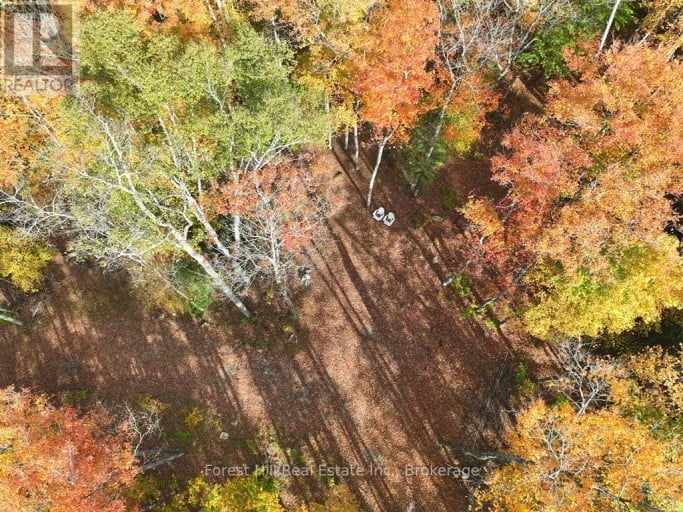 4488 KAWAGAMA LAKE ROAD, Algonquin Highlands (sherborne), Ontario, P0A1E0 (ID X13763618)
