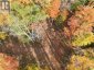 4488 KAWAGAMA LAKE ROAD, Algonquin Highlands (sherborne), Ontario, P0A1E0 (ID X13763618)