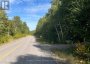 4488 KAWAGAMA LAKE ROAD, Algonquin Highlands (sherborne), Ontario, P0A1E0 (ID X13763618)