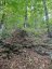 4488 KAWAGAMA LAKE ROAD, Algonquin Highlands (sherborne), Ontario, P0A1E0 (ID X13763618)