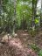 4488 KAWAGAMA LAKE ROAD, Algonquin Highlands (sherborne), Ontario, P0A1E0 (ID X13763618)