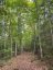 4488 KAWAGAMA LAKE ROAD, Algonquin Highlands (sherborne), Ontario, P0A1E0 (ID X13763618)