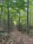 4488 KAWAGAMA LAKE ROAD, Algonquin Highlands (sherborne), Ontario, P0A1E0 (ID X13763618)