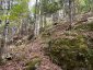 4488 KAWAGAMA LAKE ROAD, Algonquin Highlands (sherborne), Ontario, P0A1E0 (ID X13763618)