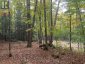 4488 KAWAGAMA LAKE ROAD, Algonquin Highlands (sherborne), Ontario, P0A1E0 (ID X13763618)