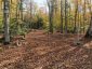 4488 KAWAGAMA LAKE ROAD, Algonquin Highlands (sherborne), Ontario, P0A1E0 (ID X13763618)