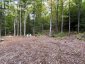 4488 KAWAGAMA LAKE ROAD, Algonquin Highlands (sherborne), Ontario, P0A1E0 (ID X13763618)