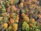 4488 KAWAGAMA LAKE ROAD, Algonquin Highlands (sherborne), Ontario, P0A1E0 (ID X13763618)