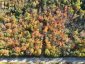 4488 KAWAGAMA LAKE ROAD, Algonquin Highlands (sherborne), Ontario, P0A1E0 (ID X13763618)