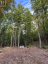 4488 KAWAGAMA LAKE ROAD, Algonquin Highlands (sherborne), Ontario, P0A1E0 (ID X13763618)