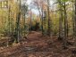 4488 KAWAGAMA LAKE ROAD, Algonquin Highlands (sherborne), Ontario, P0A1E0 (ID X13763618)
