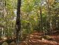 4488 KAWAGAMA LAKE ROAD, Algonquin Highlands (sherborne), Ontario, P0A1E0 (ID X13763618)