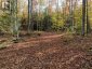 4488 KAWAGAMA LAKE ROAD, Algonquin Highlands (sherborne), Ontario, P0A1E0 (ID X13763618)