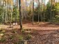 4488 KAWAGAMA LAKE ROAD, Algonquin Highlands (sherborne), Ontario, P0A1E0 (ID X13763618)