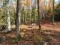 4488 KAWAGAMA LAKE ROAD, Algonquin Highlands (sherborne), Ontario, P0A1E0 (ID X13763618)