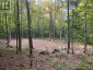 4488 KAWAGAMA LAKE ROAD, Algonquin Highlands (sherborne), Ontario, P0A1E0 (ID X13763618)