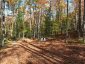 4488 KAWAGAMA LAKE ROAD, Algonquin Highlands (sherborne), Ontario, P0A1E0 (ID X13763618)