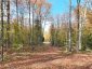 4488 KAWAGAMA LAKE ROAD, Algonquin Highlands (sherborne), Ontario, P0A1E0 (ID X13763618)
