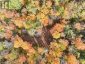 4488 KAWAGAMA LAKE ROAD, Algonquin Highlands (sherborne), Ontario, P0A1E0 (ID X13763618)