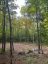 4488 KAWAGAMA LAKE ROAD, Algonquin Highlands (sherborne), Ontario, P0A1E0 (ID X13763618)