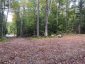 4488 KAWAGAMA LAKE ROAD, Algonquin Highlands (sherborne), Ontario, P0A1E0 (ID X13763618)