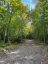 4488 KAWAGAMA LAKE ROAD, Algonquin Highlands (sherborne), Ontario, P0A1E0 (ID X13763618)