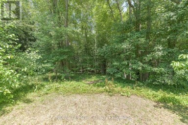 1046 SOUTHWOOD ROAD Gravenhurst (Morrison) Ontario photo 4