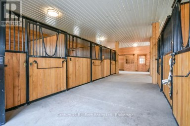 465 RIDGE ROAD E Oro-Medonte Ontario photo 28