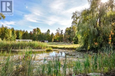 465 RIDGE ROAD E Oro-Medonte Ontario photo 41