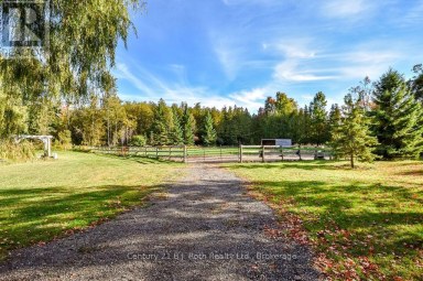 465 RIDGE ROAD E Oro-Medonte Ontario photo 42
