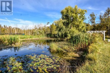 465 RIDGE ROAD E Oro-Medonte Ontario photo 43