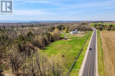 465 RIDGE ROAD E Oro-Medonte Ontario photo 47