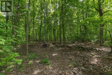1465 MIDDLE ROAD, Kingston (Kingston East (Incl CFB Kingston)) Ontario