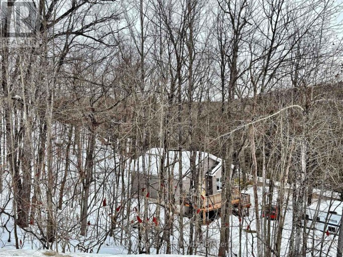 1065 HENDERSON'S ROAD, Minden Hills (Lutterworth), Ontario, K0M2S0