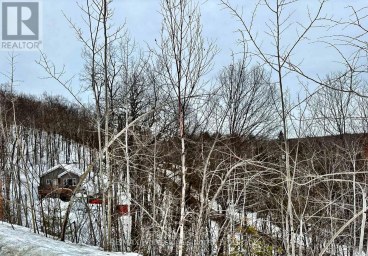 1065 HENDERSON'S ROAD Minden Hills (Lutterworth) Ontario photo 33