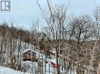 1065 HENDERSON'S ROAD Minden Hills (Lutterworth) Ontario photo 34