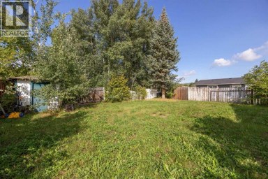 16 Centennial Drive Fort McMurray Alberta photo 27