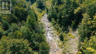 120 MIMI CRESCENT Meaford Ontario photo 43