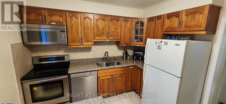 47 ROYWOOD DRIVE, Toronto (Parkwoods-Donalda), Ontario, M3A2C8