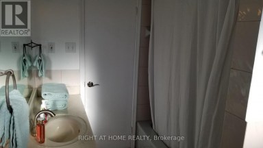 47 ROYWOOD DRIVE Toronto (Parkwoods-Donalda) Ontario photo 17